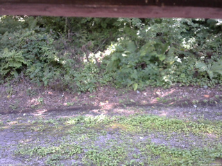 長野県菅平高原 ゆたか山荘 南側 2025/08/19 13:45