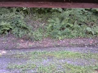 長野県菅平高原 ゆたか山荘 南側 2025/08/19 14:15