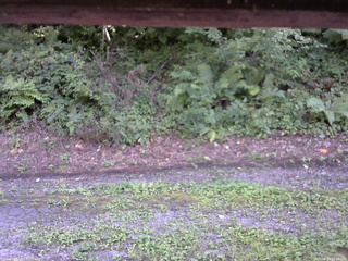 長野県菅平高原 ゆたか山荘 南側 2025/08/19 15:30