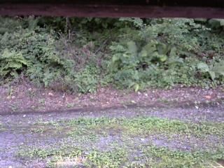 長野県菅平高原 ゆたか山荘 南側 2025/08/19 16:00