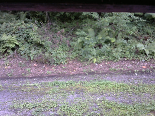 長野県菅平高原 ゆたか山荘 南側 2025/08/19 16:45