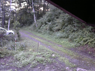 長野県菅平高原 ゆたか山荘 東側(坂下) 2025/08/19 05:15