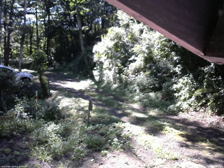 長野県菅平高原 ゆたか山荘 東側(坂下) 2025/08/19 08:15