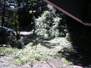 長野県菅平高原 ゆたか山荘 東側(坂下) 2025/08/19 08:45