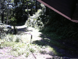 長野県菅平高原 ゆたか山荘 東側(坂下) 2025/08/19 09:30