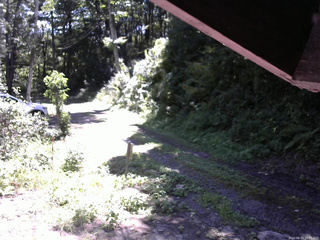 長野県菅平高原 ゆたか山荘 東側(坂下) 2025/08/19 10:00