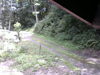 長野県菅平高原 ゆたか山荘 東側(坂下) 2025/08/19 11:30