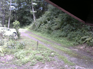 長野県菅平高原 ゆたか山荘 東側(坂下) 2025/08/19 12:00