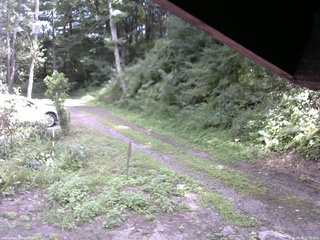 長野県菅平高原 ゆたか山荘 東側(坂下) 2025/08/19 12:30