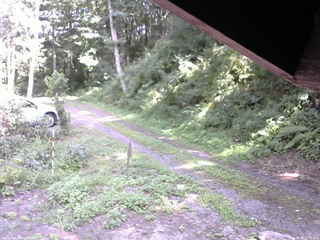 長野県菅平高原 ゆたか山荘 東側(坂下) 2025/08/19 13:30