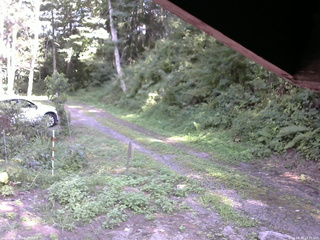 長野県菅平高原 ゆたか山荘 東側(坂下) 2025/08/19 14:15