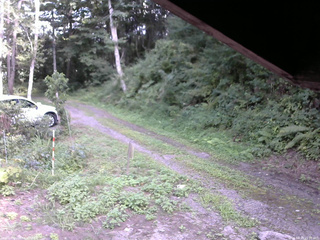 長野県菅平高原 ゆたか山荘 東側(坂下) 2025/08/19 15:00