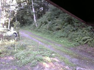 長野県菅平高原 ゆたか山荘 東側(坂下) 2025/08/19 16:15