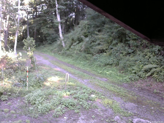 長野県菅平高原 ゆたか山荘 東側(坂下) 2025/08/19 16:30