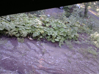 長野県菅平高原 ゆたか山荘 駐車場 2025/08/19 06:15