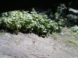 長野県菅平高原 ゆたか山荘 駐車場 2025/08/19 08:30
