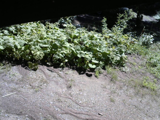 長野県菅平高原 ゆたか山荘 駐車場 2025/08/19 09:00