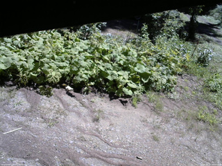 長野県菅平高原 ゆたか山荘 駐車場 2025/08/19 09:45
