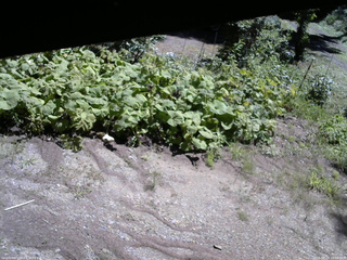 長野県菅平高原 ゆたか山荘 駐車場 2025/08/19 10:00