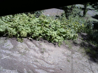 長野県菅平高原 ゆたか山荘 駐車場 2025/08/19 10:45