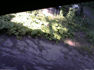 長野県菅平高原 ゆたか山荘 駐車場 2025/08/19 15:45