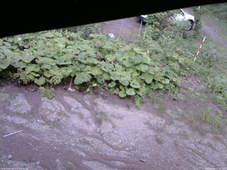 長野県菅平高原 ゆたか山荘 駐車場 2025/08/19 17:15