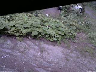 長野県菅平高原 ゆたか山荘 駐車場 2025/08/19 18:30