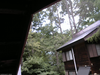 長野県菅平高原 ゆたか山荘 北側 2025/08/20 11:00