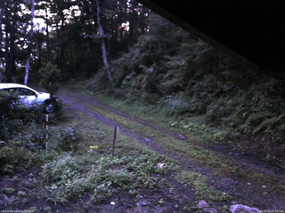 長野県菅平高原 ゆたか山荘 東側(坂下) 2025/08/20 05:00