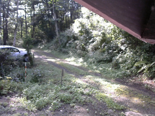 長野県菅平高原 ゆたか山荘 東側(坂下) 2025/08/20 07:45