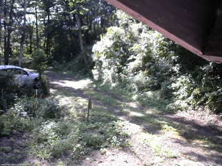 長野県菅平高原 ゆたか山荘 東側(坂下) 2025/08/20 08:15