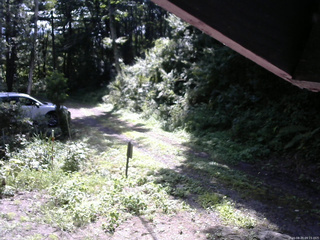 長野県菅平高原 ゆたか山荘 東側(坂下) 2025/08/20 09:15