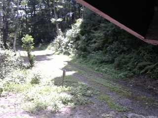 長野県菅平高原 ゆたか山荘 東側(坂下) 2025/08/20 10:00