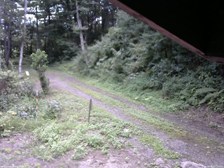 長野県菅平高原 ゆたか山荘 東側(坂下) 2025/08/20 10:15