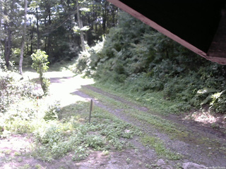 長野県菅平高原 ゆたか山荘 東側(坂下) 2025/08/20 10:30