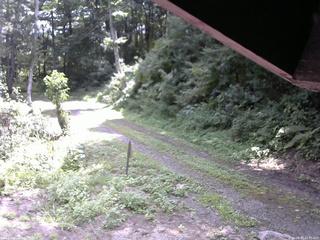長野県菅平高原 ゆたか山荘 東側(坂下) 2025/08/20 10:45