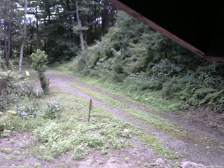 長野県菅平高原 ゆたか山荘 東側(坂下) 2025/08/20 11:00