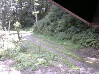 長野県菅平高原 ゆたか山荘 東側(坂下) 2025/08/20 11:30