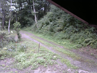 長野県菅平高原 ゆたか山荘 東側(坂下) 2025/08/20 11:45