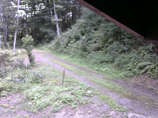 長野県菅平高原 ゆたか山荘 東側(坂下) 2025/08/20 12:00