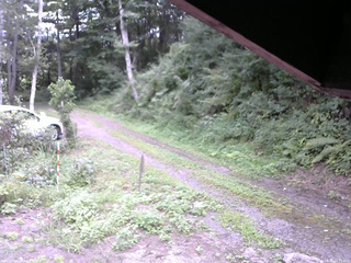 長野県菅平高原 ゆたか山荘 東側(坂下) 2025/08/20 13:15