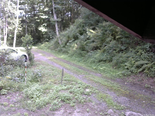 長野県菅平高原 ゆたか山荘 東側(坂下) 2025/08/20 13:30