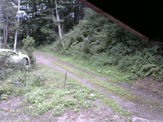 長野県菅平高原 ゆたか山荘 東側(坂下) 2025/08/20 13:45