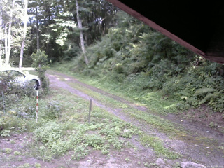 長野県菅平高原 ゆたか山荘 東側(坂下) 2025/08/20 14:00