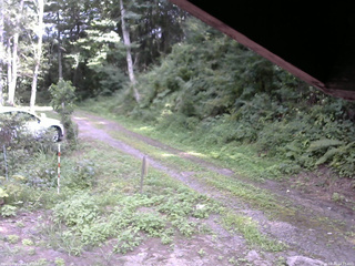 長野県菅平高原 ゆたか山荘 東側(坂下) 2025/08/20 14:15