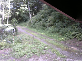 長野県菅平高原 ゆたか山荘 東側(坂下) 2025/08/20 14:30