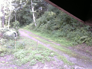 長野県菅平高原 ゆたか山荘 東側(坂下) 2025/08/20 15:00