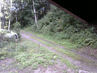 長野県菅平高原 ゆたか山荘 東側(坂下) 2025/08/20 15:15
