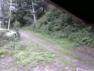 長野県菅平高原 ゆたか山荘 東側(坂下) 2025/08/20 15:30