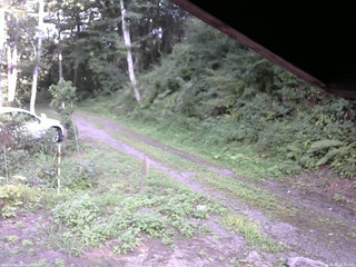 長野県菅平高原 ゆたか山荘 東側(坂下) 2025/08/20 16:00
